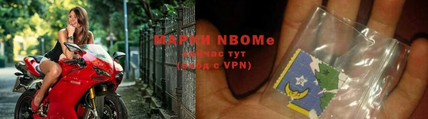 индика Богданович