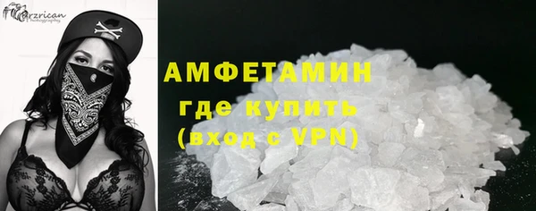 индика Богданович