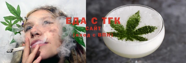 индика Богданович
