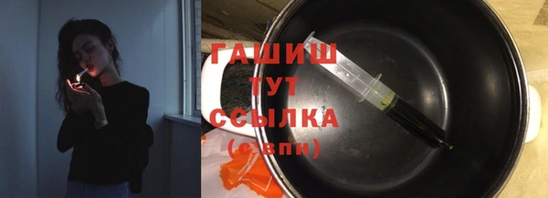 индика Богданович