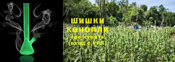 индика Богданович