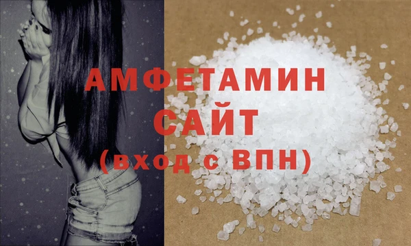 индика Богданович