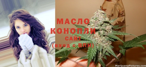 apvp Богородицк