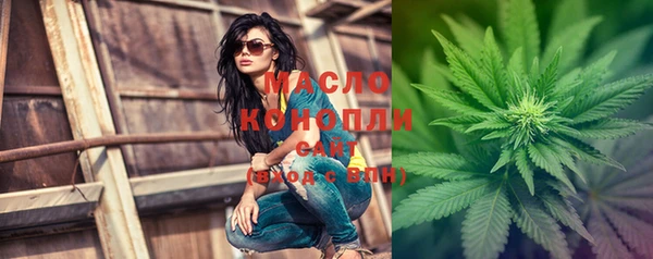 индика Богданович