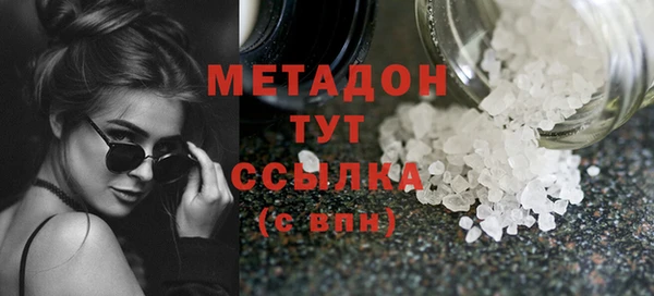 индика Богданович
