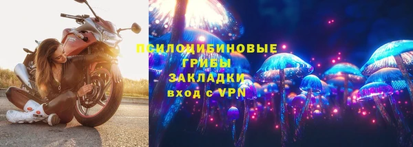 индика Богданович
