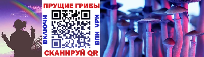 Псилоцибиновые грибы Cubensis  kraken онион  Мезень 